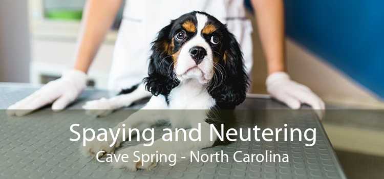 Spaying and Neutering Cave Spring - North Carolina