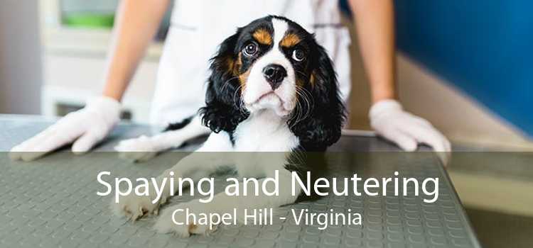 Spaying and Neutering Chapel Hill - Virginia