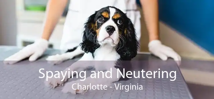 Spaying and Neutering Charlotte - Virginia