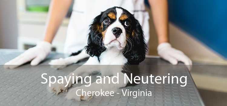 Spaying and Neutering Cherokee - Virginia