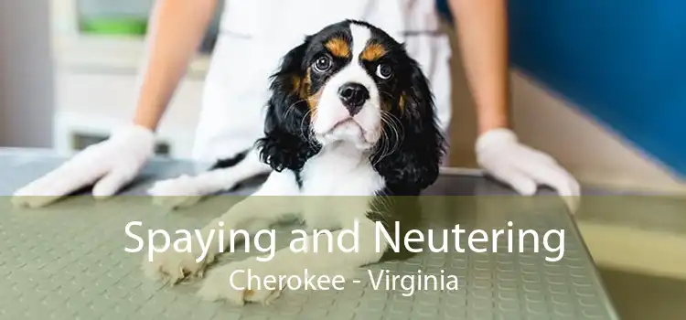 Spaying and Neutering Cherokee - Virginia