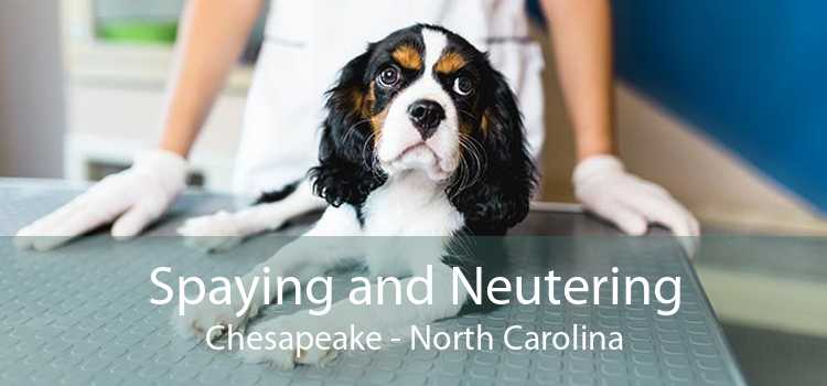 Spaying and Neutering Chesapeake - North Carolina
