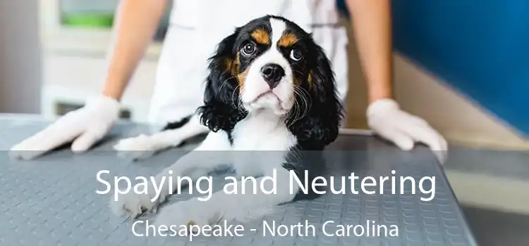 Spaying and Neutering Chesapeake - North Carolina