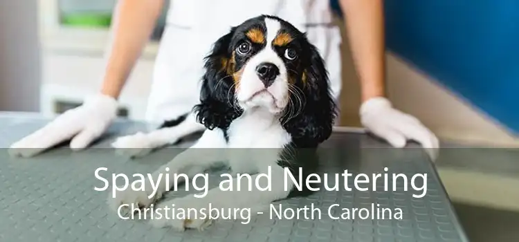 Spaying and Neutering Christiansburg - North Carolina