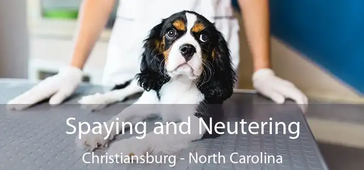 Spaying and Neutering Christiansburg - North Carolina