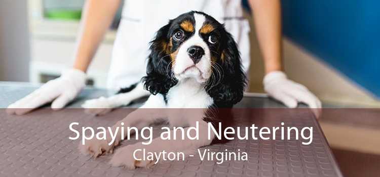 Spaying and Neutering Clayton - Virginia