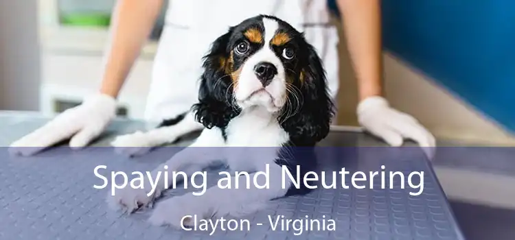 Spaying and Neutering Clayton - Virginia