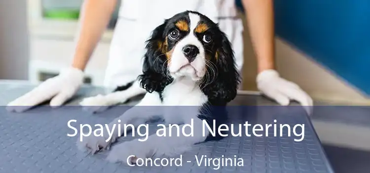 Spaying and Neutering Concord - Virginia