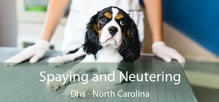 Spaying and Neutering Dhs - North Carolina