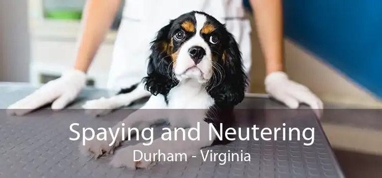 Spaying and Neutering Durham - Virginia