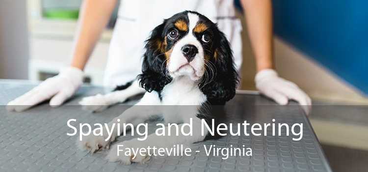 Spaying and Neutering Fayetteville - Virginia