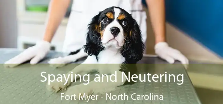 Spaying and Neutering Fort Myer - North Carolina