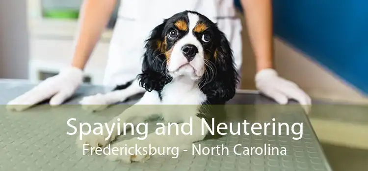 Spaying and Neutering Fredericksburg - North Carolina