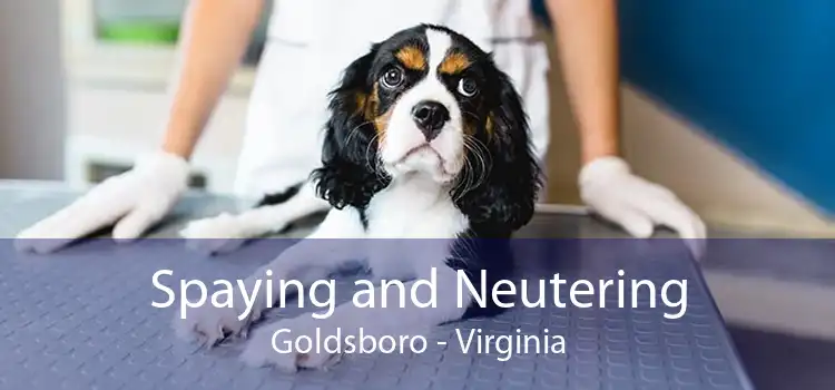 Spaying and Neutering Goldsboro - Virginia