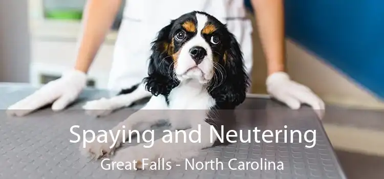 Spaying and Neutering Great Falls - North Carolina