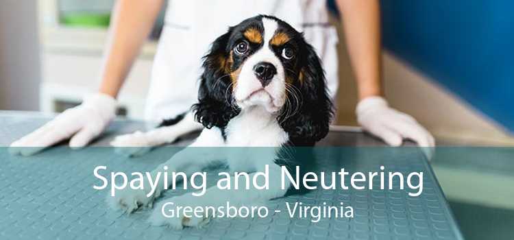 Spaying and Neutering Greensboro - Virginia