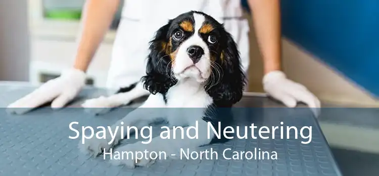 Spaying and Neutering Hampton - North Carolina