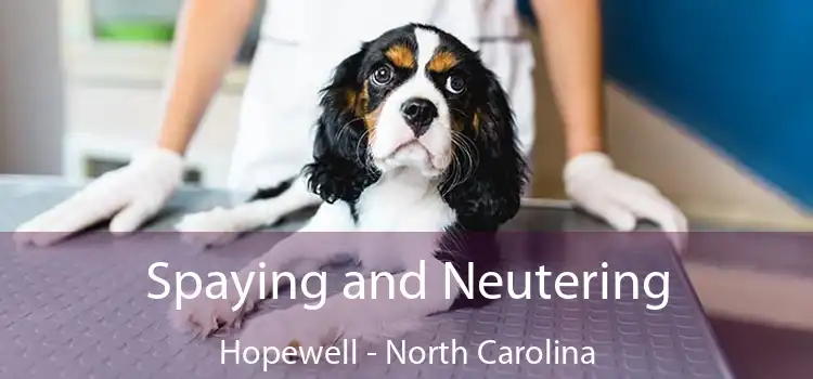 Spaying and Neutering Hopewell - North Carolina