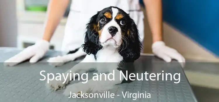 Spaying and Neutering Jacksonville - Virginia