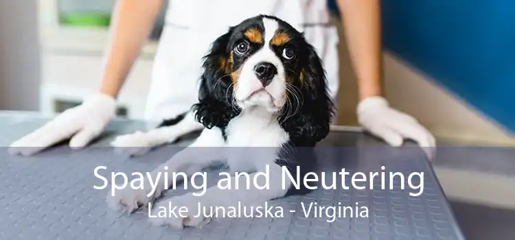 Spaying and Neutering Lake Junaluska - Virginia