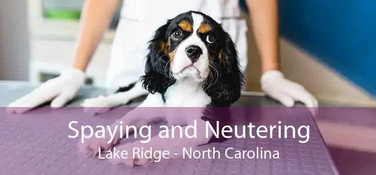 Spaying and Neutering Lake Ridge - North Carolina