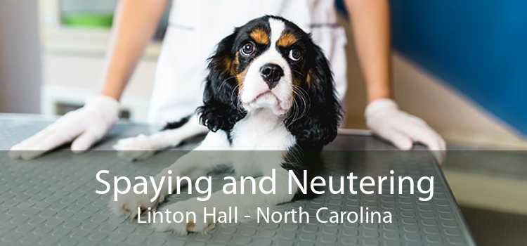 Spaying and Neutering Linton Hall - North Carolina