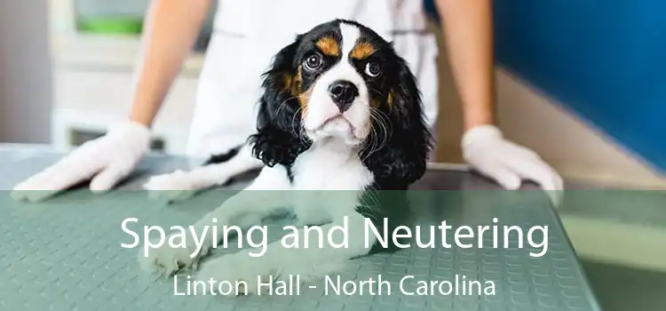 Spaying and Neutering Linton Hall - North Carolina