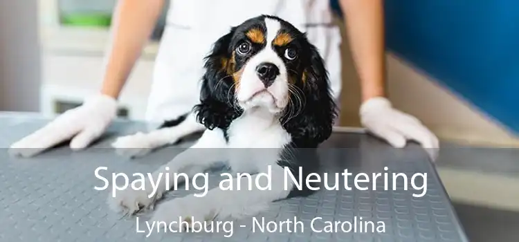 Spaying and Neutering Lynchburg - North Carolina