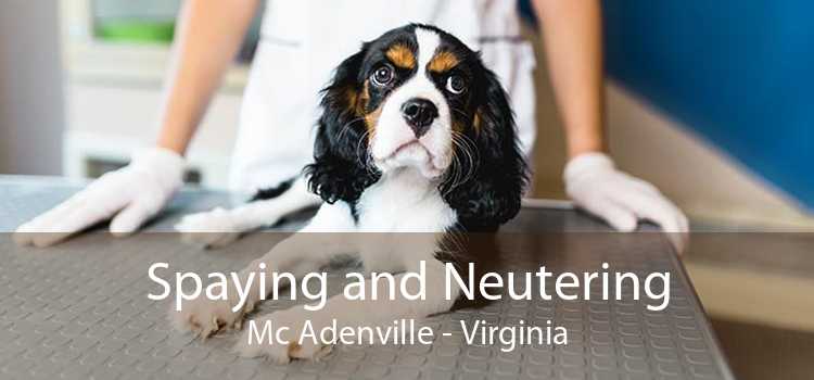 Spaying and Neutering Mc Adenville - Virginia