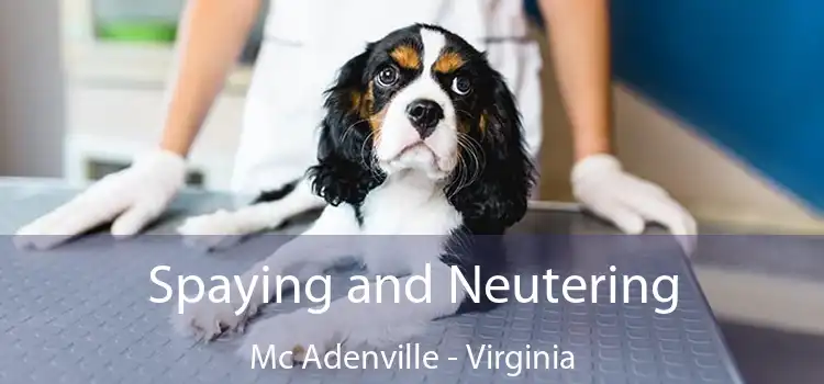 Spaying and Neutering Mc Adenville - Virginia