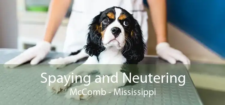 Spaying and Neutering McComb - Mississippi