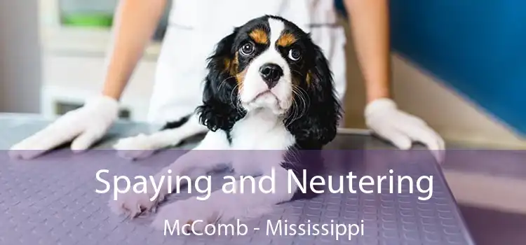 Spaying and Neutering McComb - Mississippi