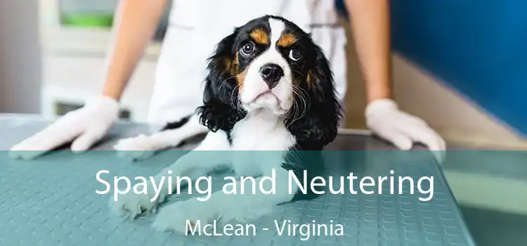 Spaying and Neutering McLean - Virginia