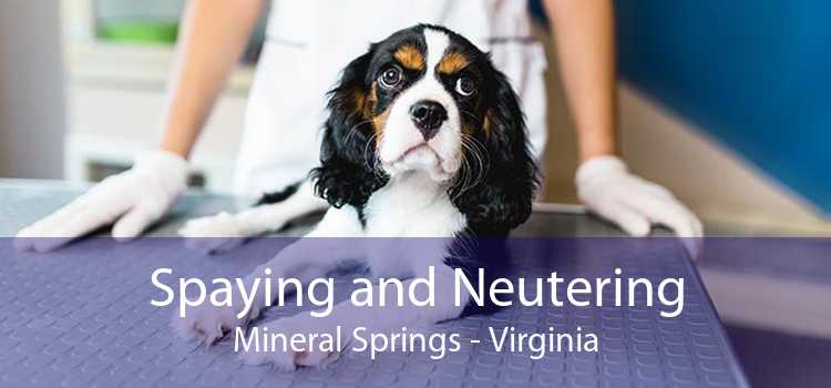 Spaying and Neutering Mineral Springs - Virginia