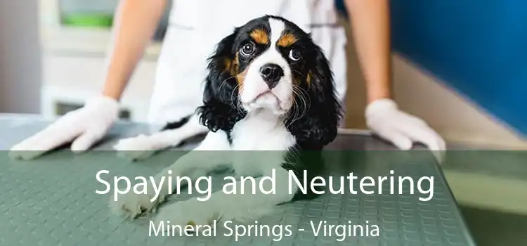 Spaying and Neutering Mineral Springs - Virginia