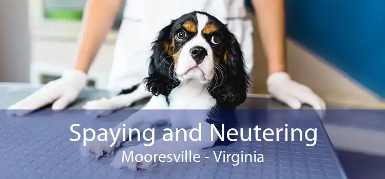 Spaying and Neutering Mooresville - Virginia