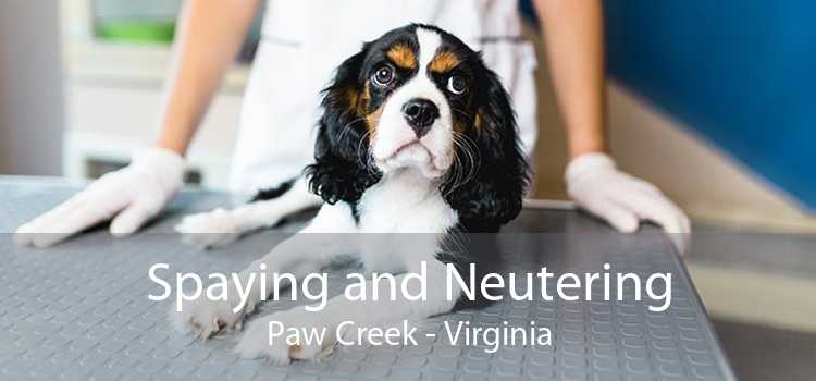 Spaying and Neutering Paw Creek - Virginia