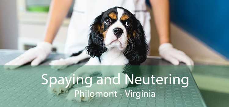 Spaying and Neutering Philomont - Virginia