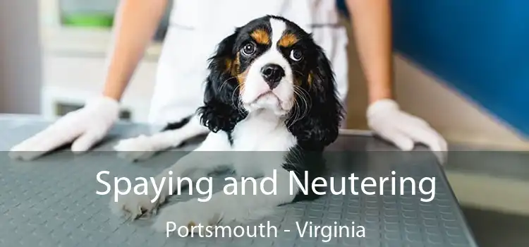 Spaying and Neutering Portsmouth - Virginia