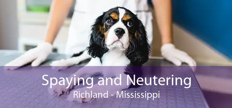 Spaying and Neutering Richland - Mississippi