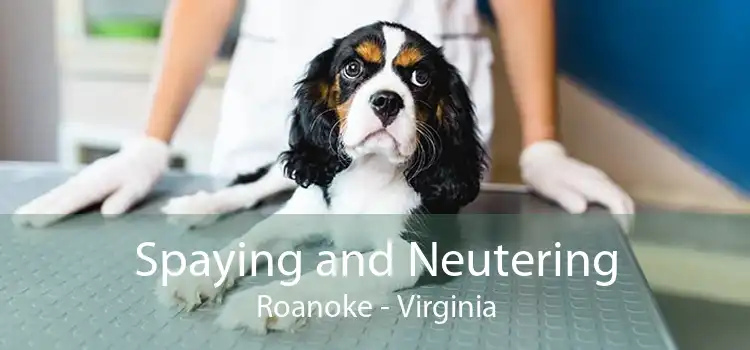 Spaying and Neutering Roanoke - Virginia