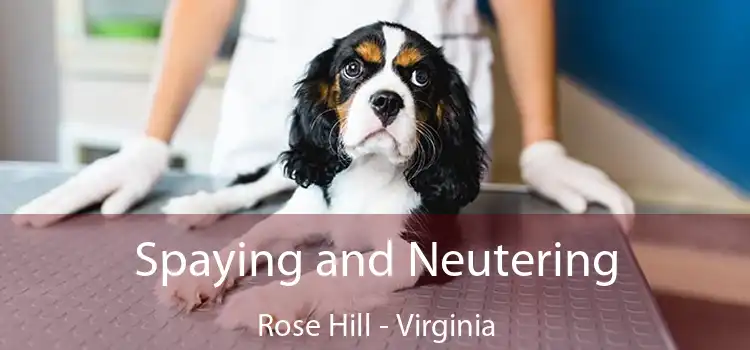 Spaying and Neutering Rose Hill - Virginia