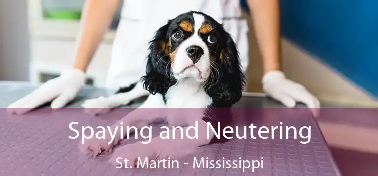 Spaying and Neutering St. Martin - Mississippi