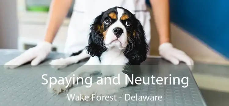 Spaying and Neutering Wake Forest - Delaware