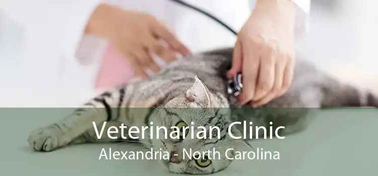Veterinarian Clinic Alexandria - North Carolina