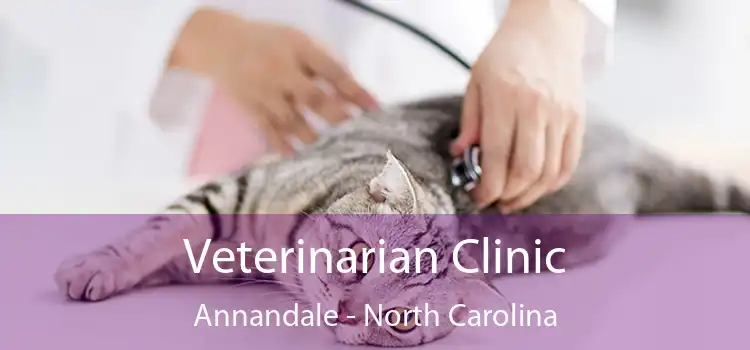 Veterinarian Clinic Annandale - North Carolina