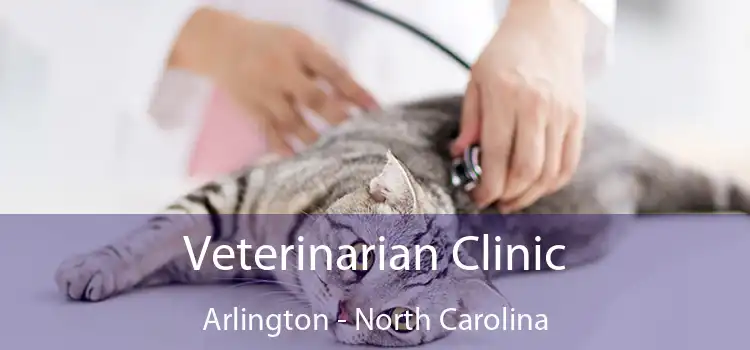 Veterinarian Clinic Arlington - North Carolina