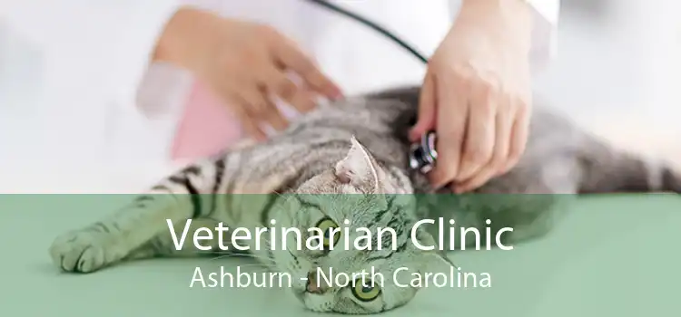 Veterinarian Clinic Ashburn - North Carolina
