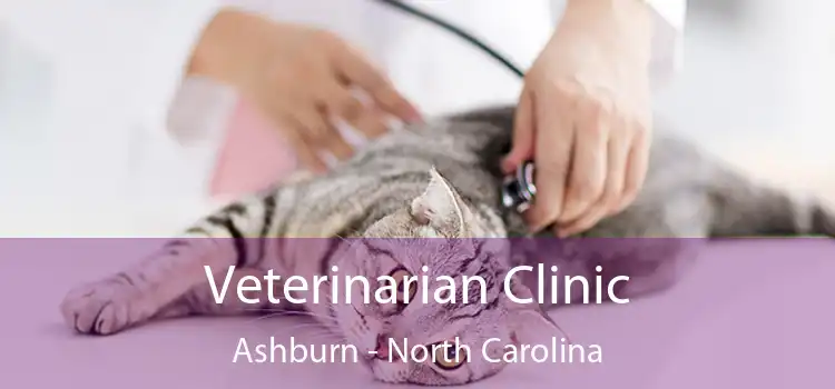 Veterinarian Clinic Ashburn - North Carolina