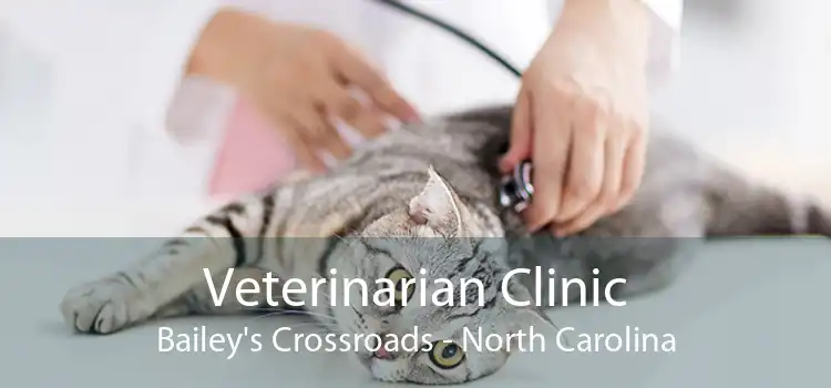 Veterinarian Clinic Bailey's Crossroads - North Carolina